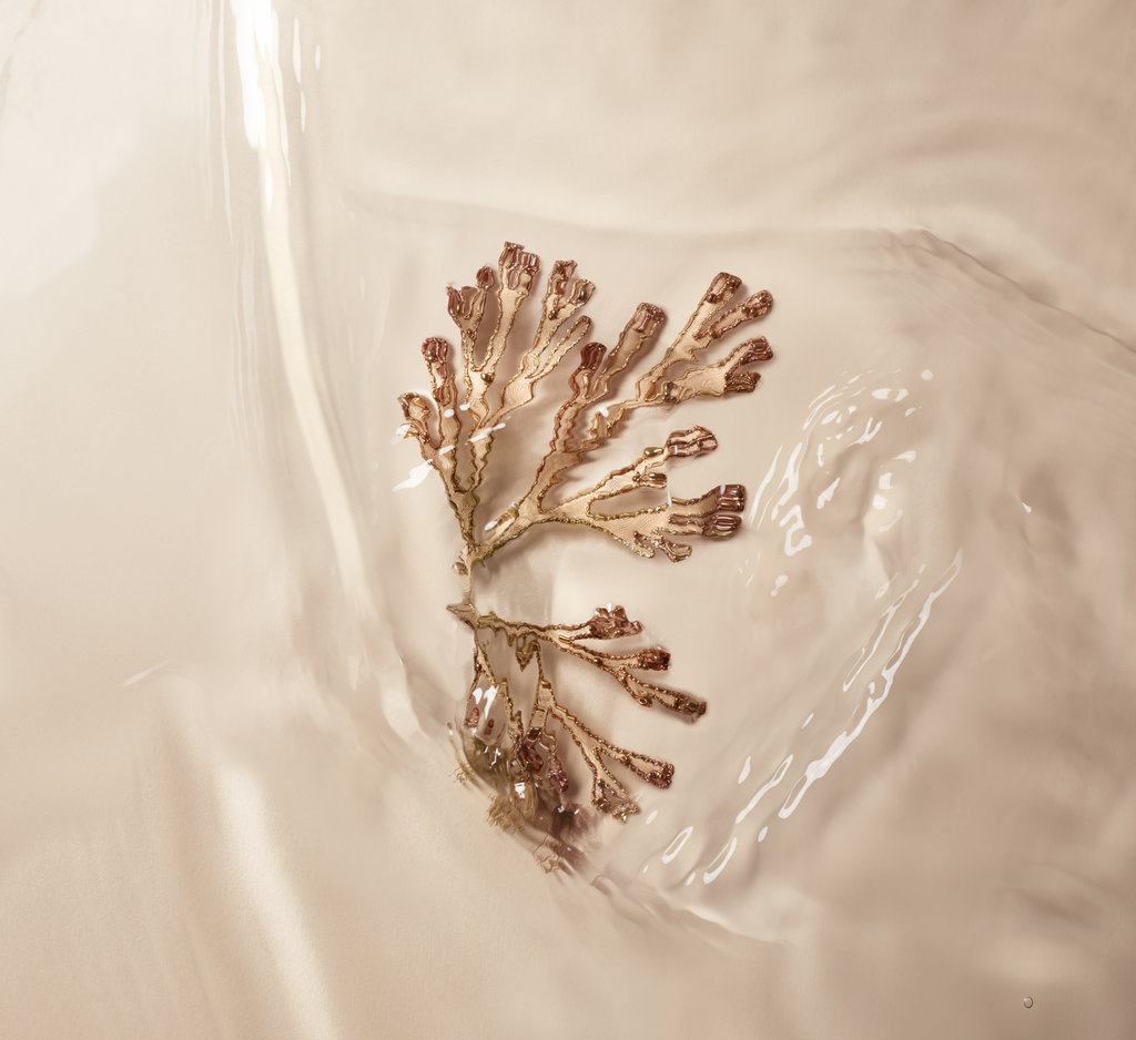 AgePhylla®